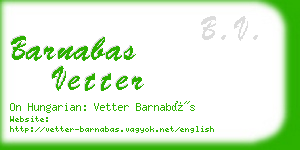 barnabas vetter business card